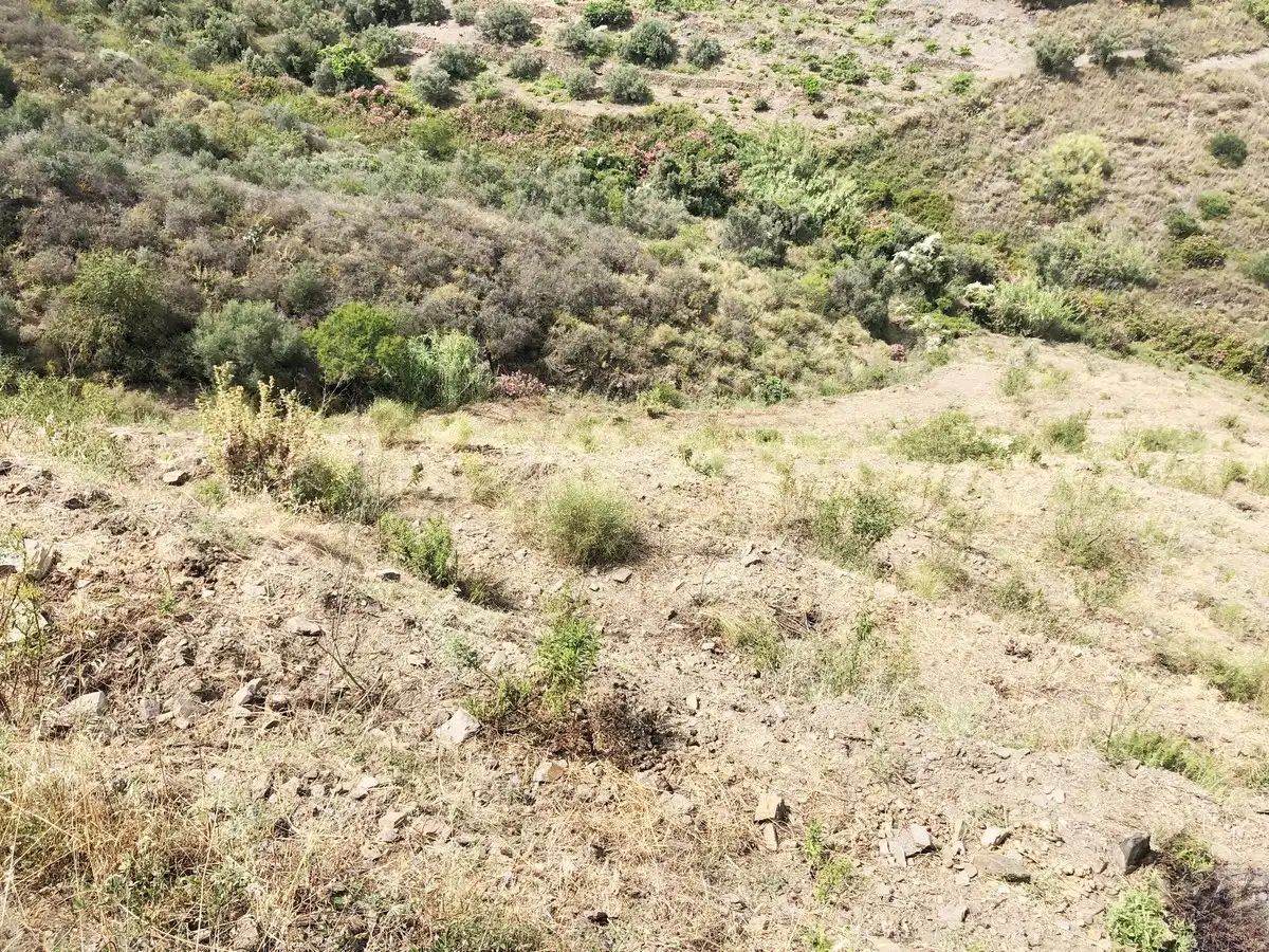 Casa en venta en Torrox Pueblo, imagen 17
