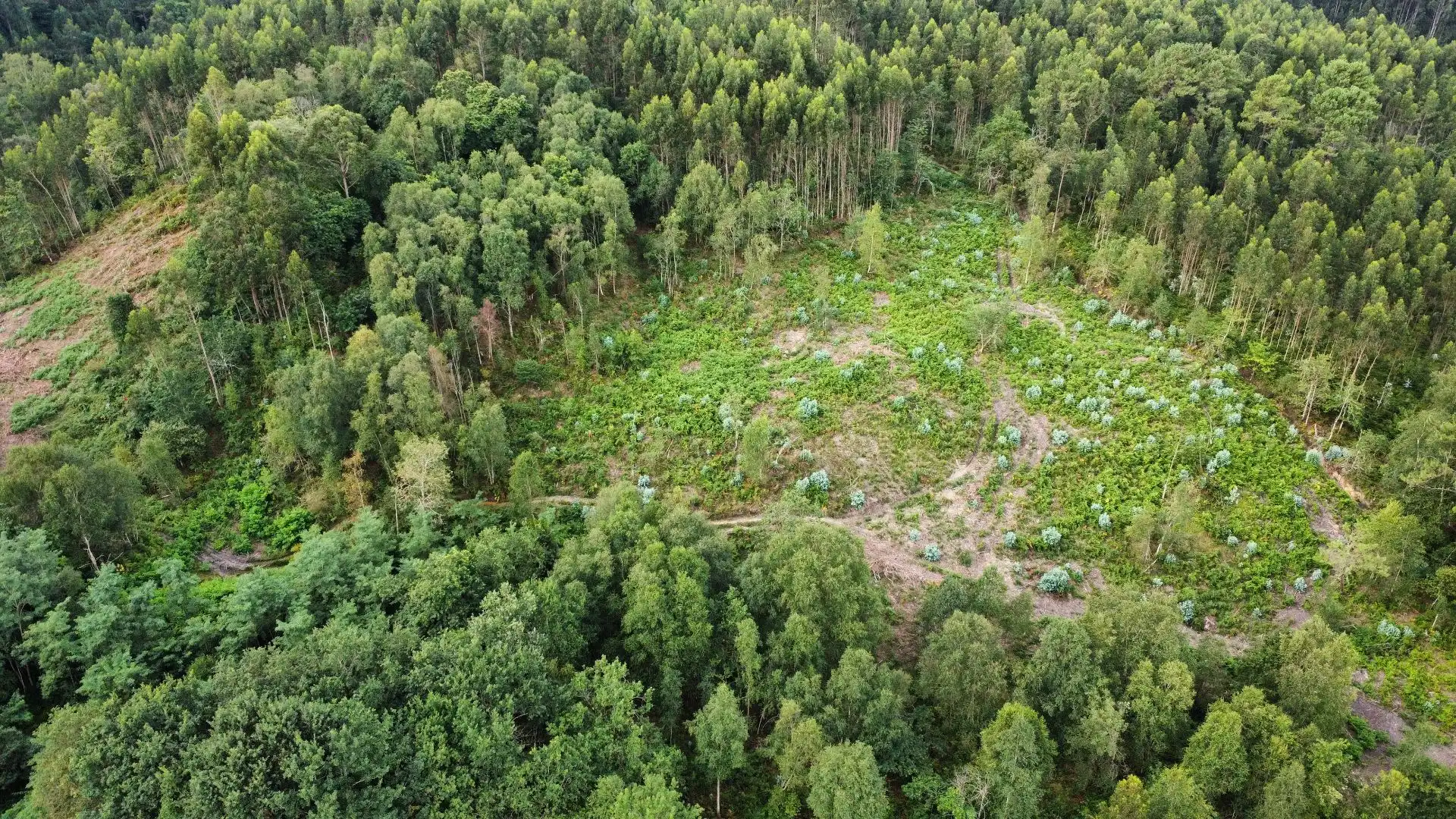 Terreno rustico in vendita a Pría - Nueva-Hontoria - Naves, imagen 14