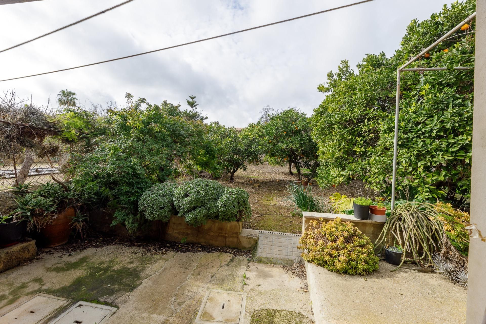 Jardí de Casa o xalet en venda en Santa María del Camí amb Jardí privat
