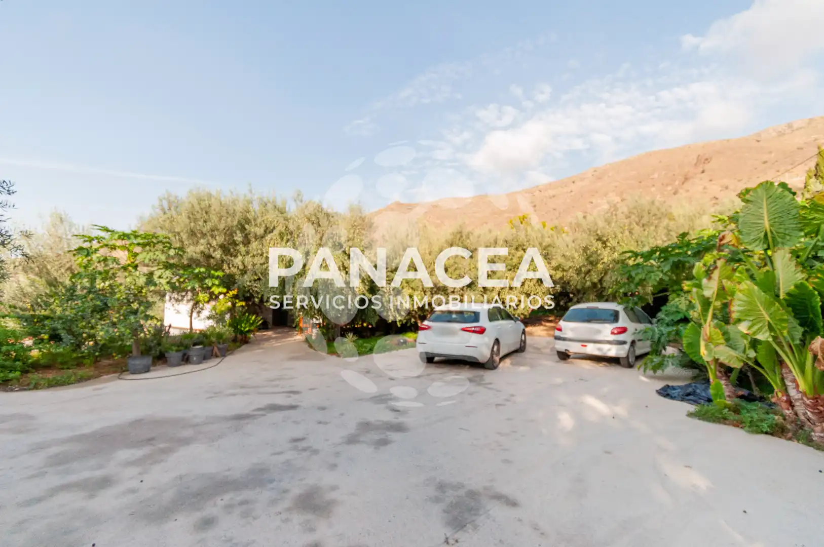 Finca rústica en venta en Vícar Pueblo