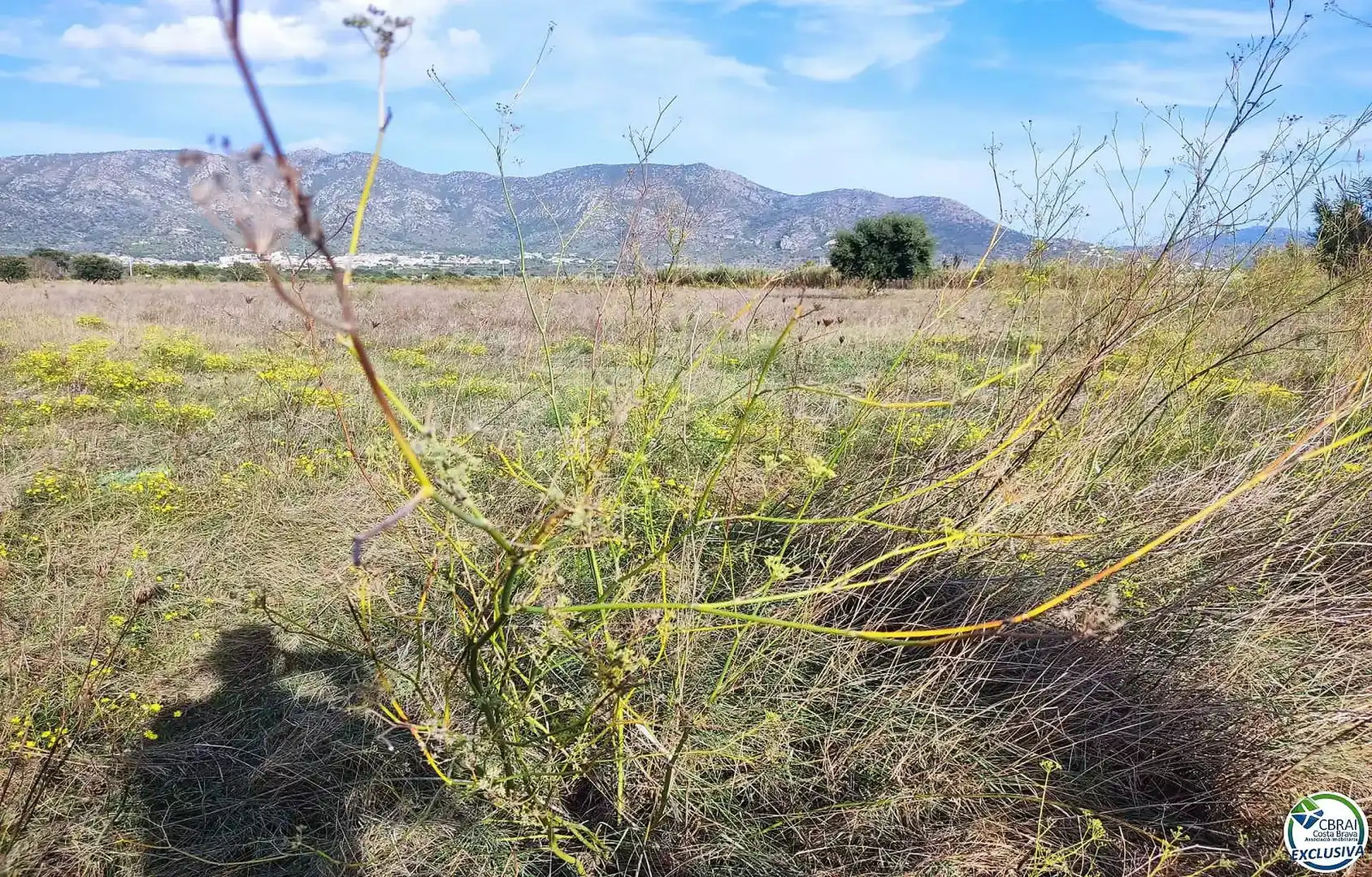Residential land for sale in Carretera Vilamacolum 0