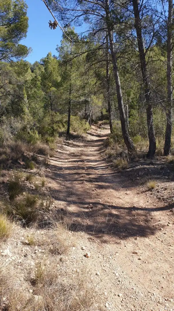 Terrain résidentiel à vendre à Requena, imagen 22