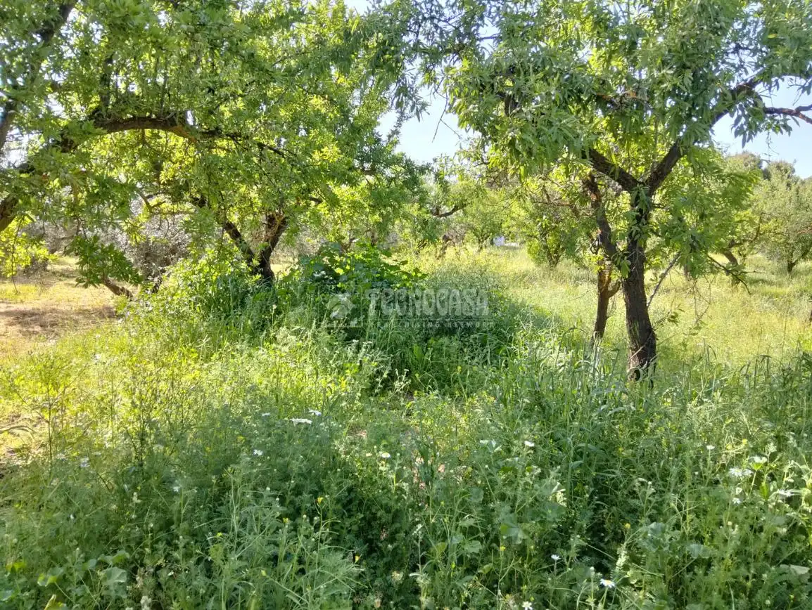 Rural land for sale in Dúrcal, imagen 25
