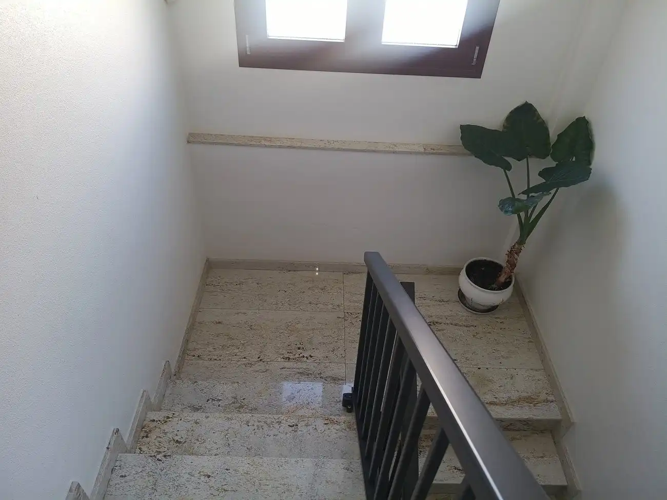 Country homes for sale in Torre-Pacheco  with Terrace and Furnished
