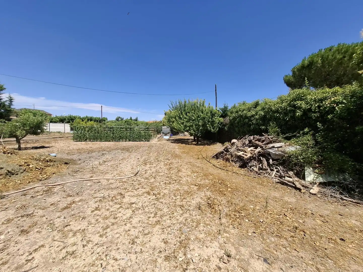 Finca rústica en venta en Tarazona