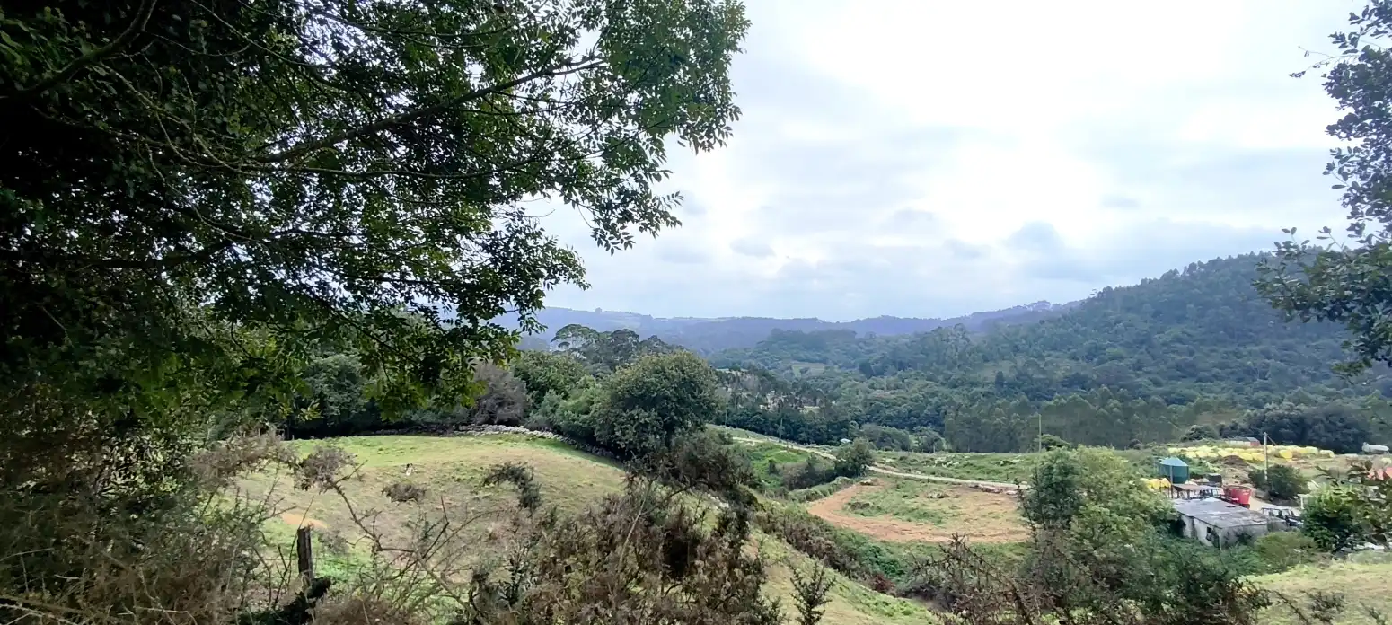 Terreno rústico en venta en Novales - Polígono 20 Parcela 144 EL CASTRO, imagen 3