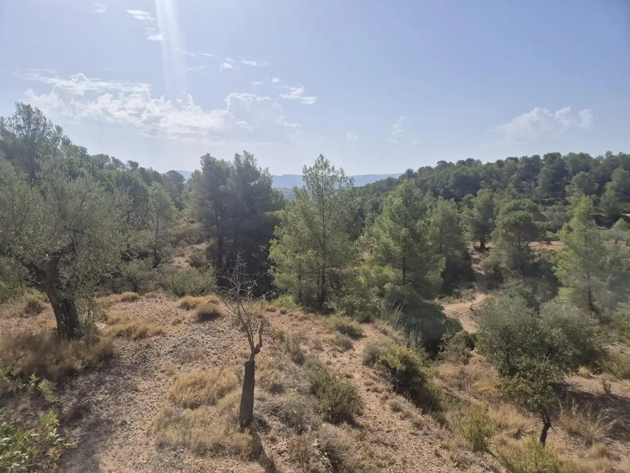 Country homes for sale in Onil