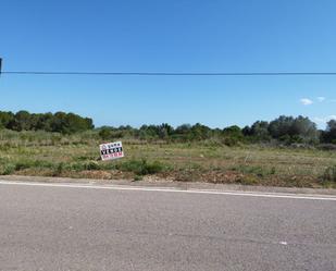 Finca rústica en venda en Alcalà de Xivert