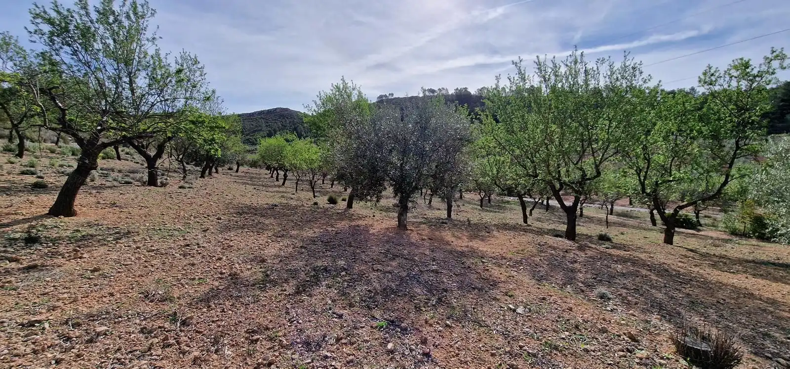 Casa rústica en venta en Cortes de Pallás, imagen 28
