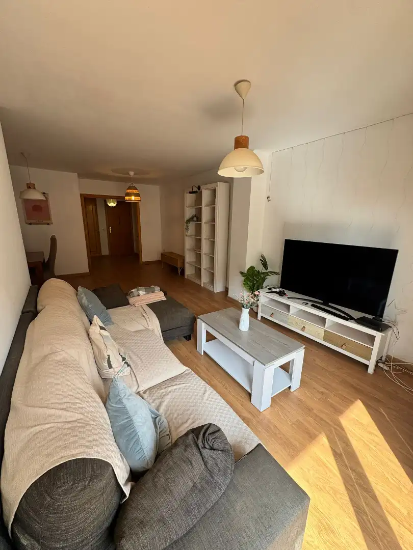 Sala de estar de Piso de alquiler en Valencia con Aire acondicionado, Calefacción y Parquet