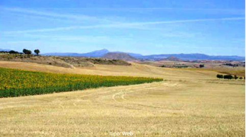 Photo 5 of Land for sale in Cañizar, Guadalajara