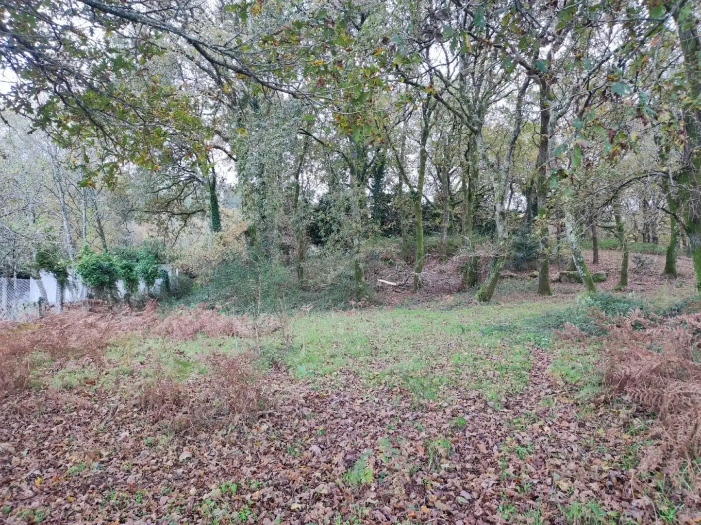 Finca rústica en venta en A Estrada 