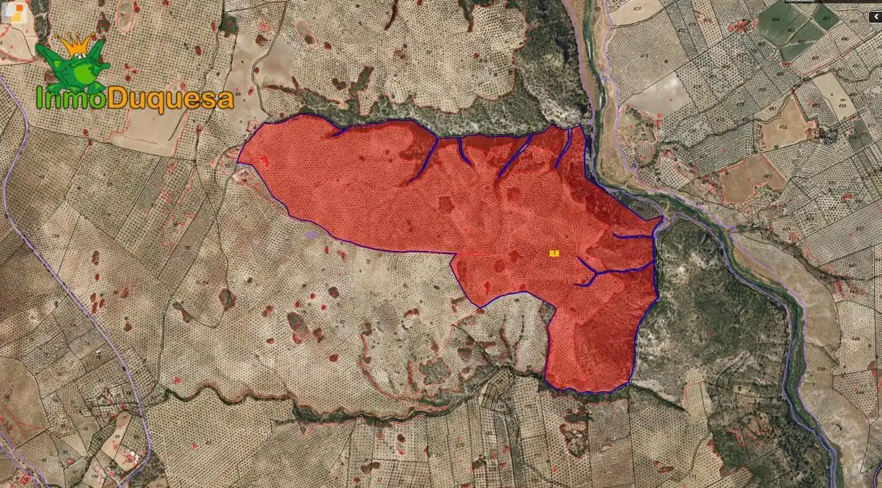 Casa rústica en venda a Camino Polígono 3 Parcela 51 MORA. LOJA (GRANADA) 3, imagen 3