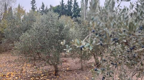 Photo 5 of Industrial buildings for sale in Garrapinillos,  Zaragoza Capital