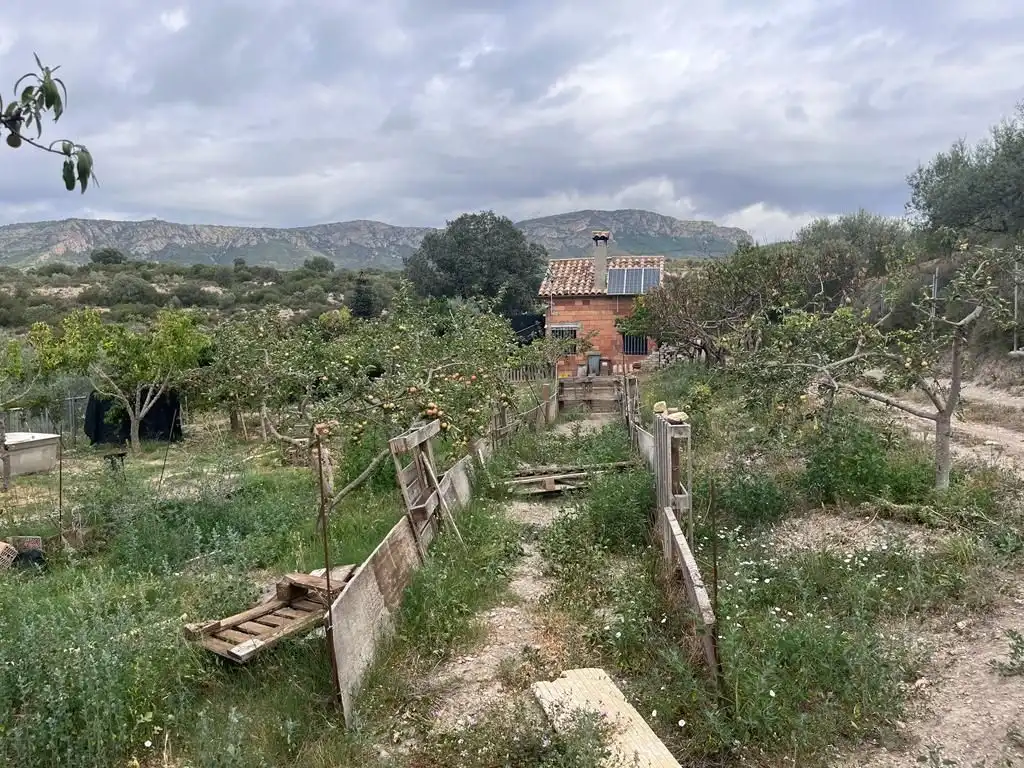 Terreno rústico en venta en Carrer del Dipòsit, imagen 8