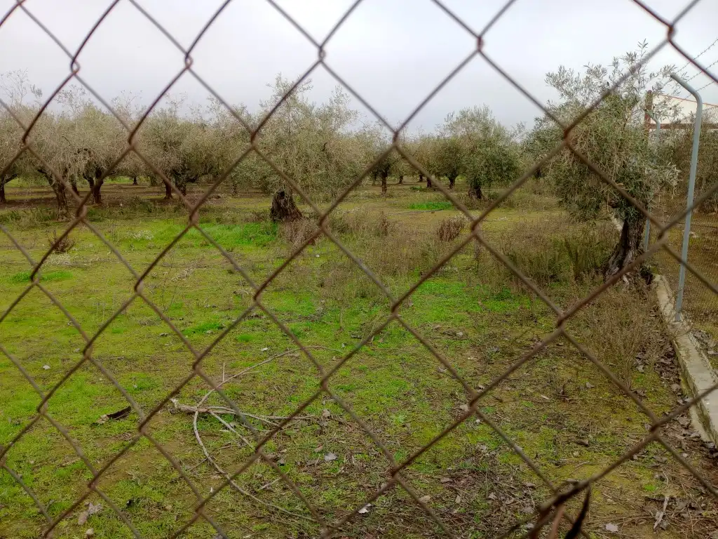 Terreni e lotti in vendita a Mengabril, imagen 6