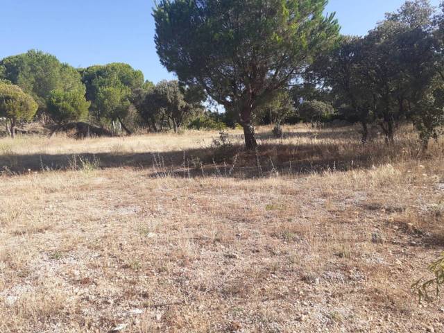 Terreno residencial en Venta en Alpedrete