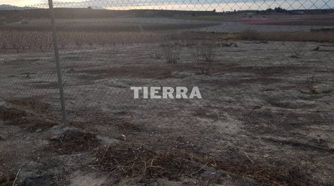 Terreno agrario en venta en Cieza, immagine 3