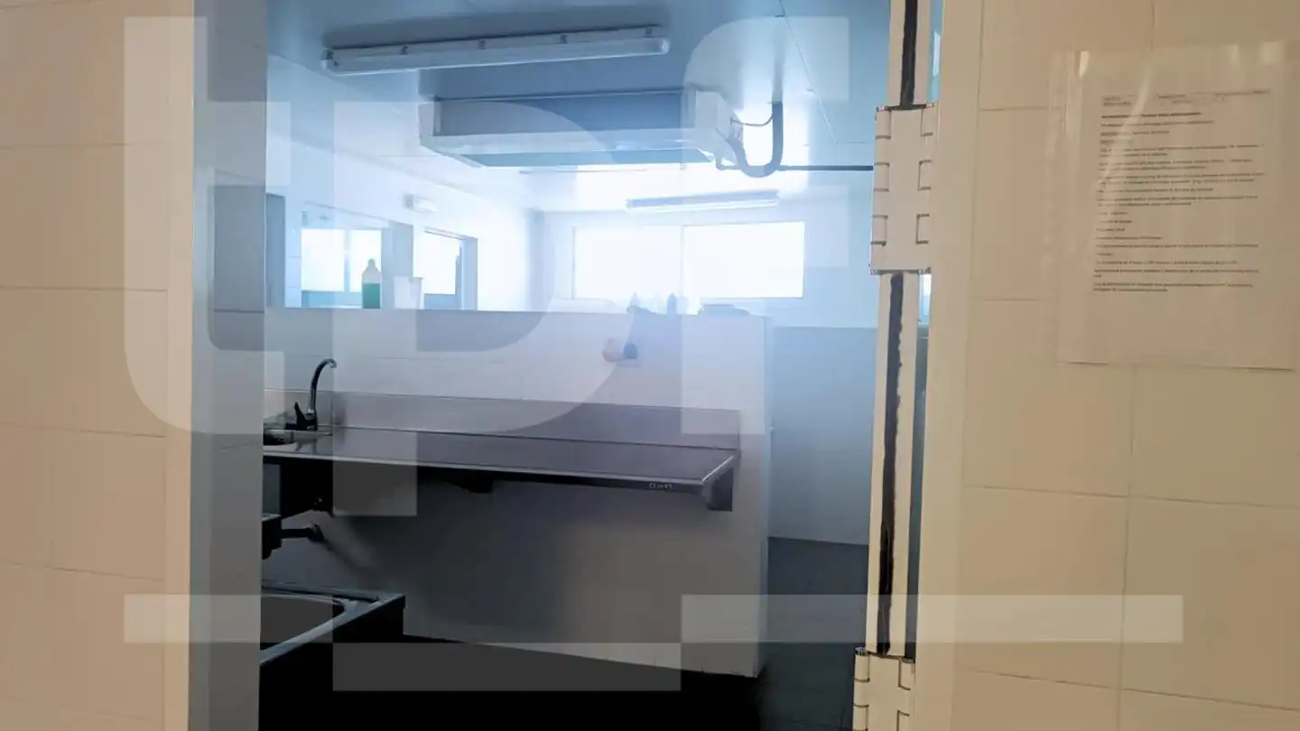 Kitchen of Industrial buildings for sale in L'Alcúdia