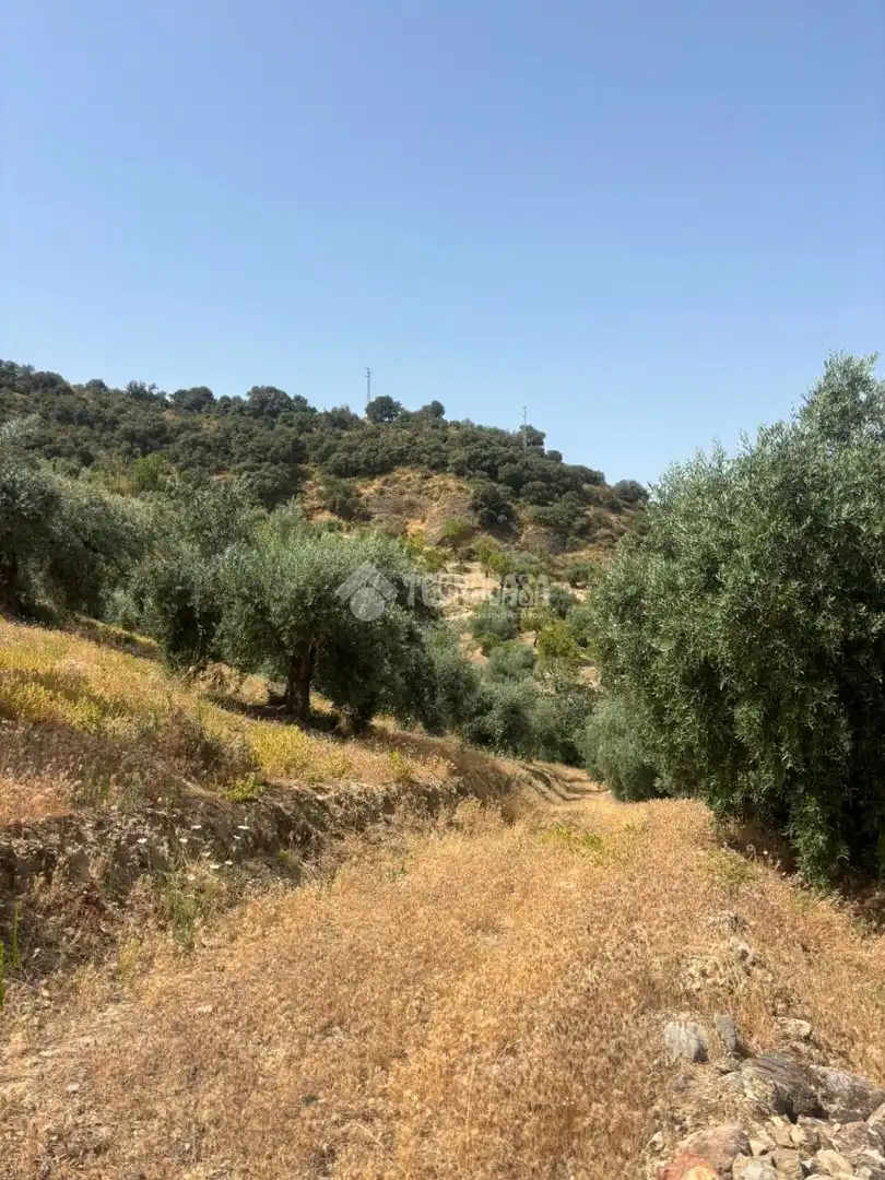 Land for sale in Quéntar