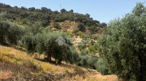 Terrenos en venta en Quéntar, imagen 5