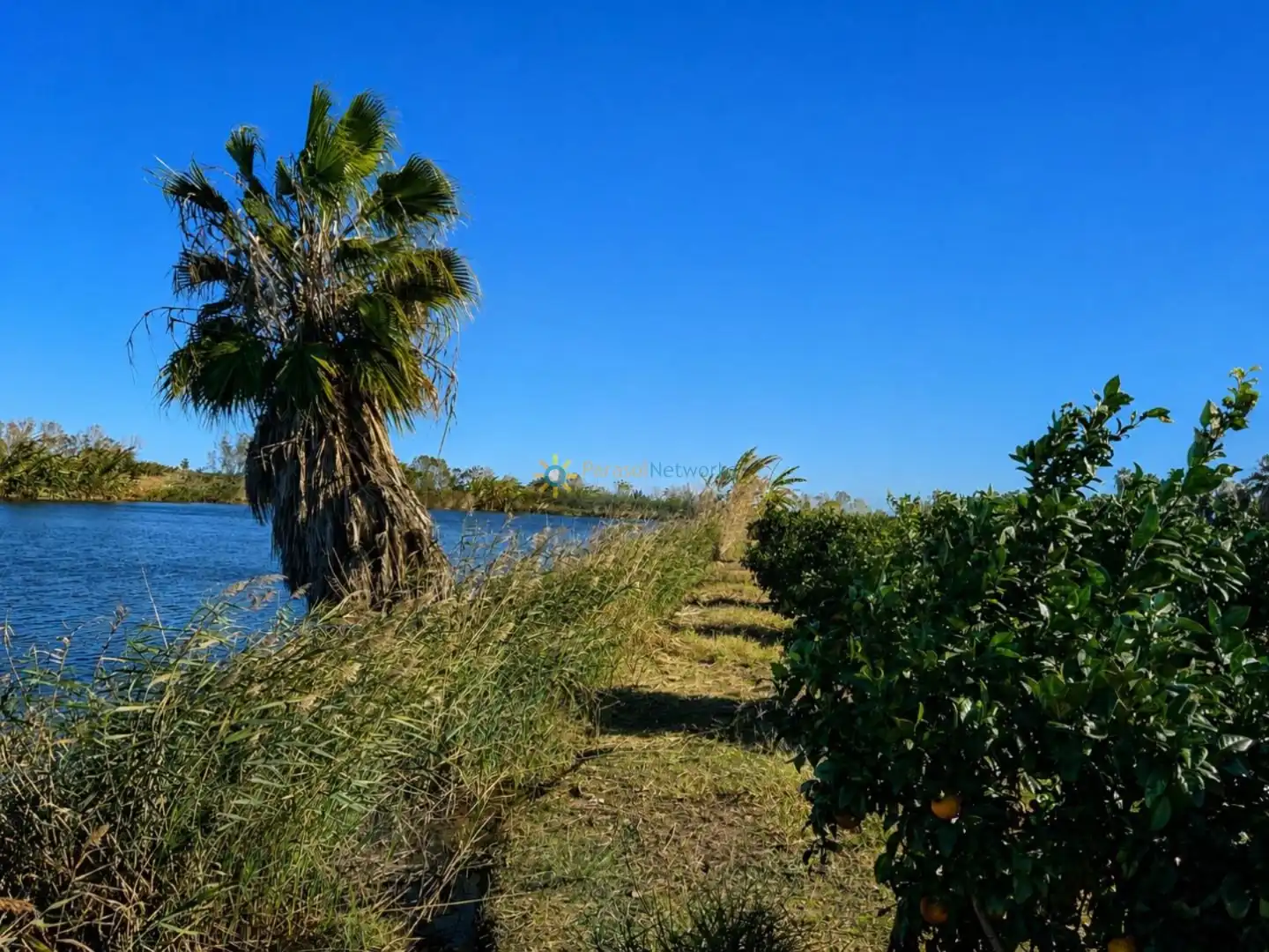 Finca rústica en venta en Xeraco con Jardín privado, Terraza y Trastero