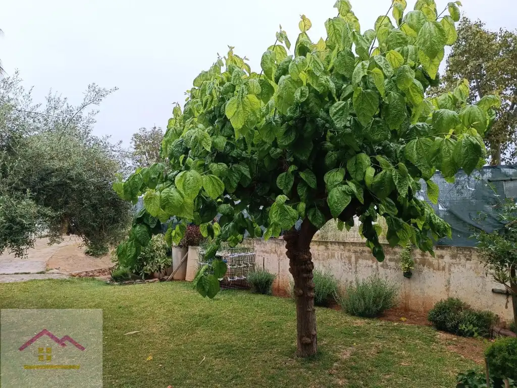 Casa o xalet en venda a Urbanizacion Pai Sector Torrelasal, Cabanes