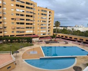Swimming pool of Flat to rent in Alicante / Alacant  with Air Conditioner, Terrace and Furnished