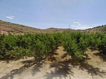 Terreno rustico in vendita a N/A