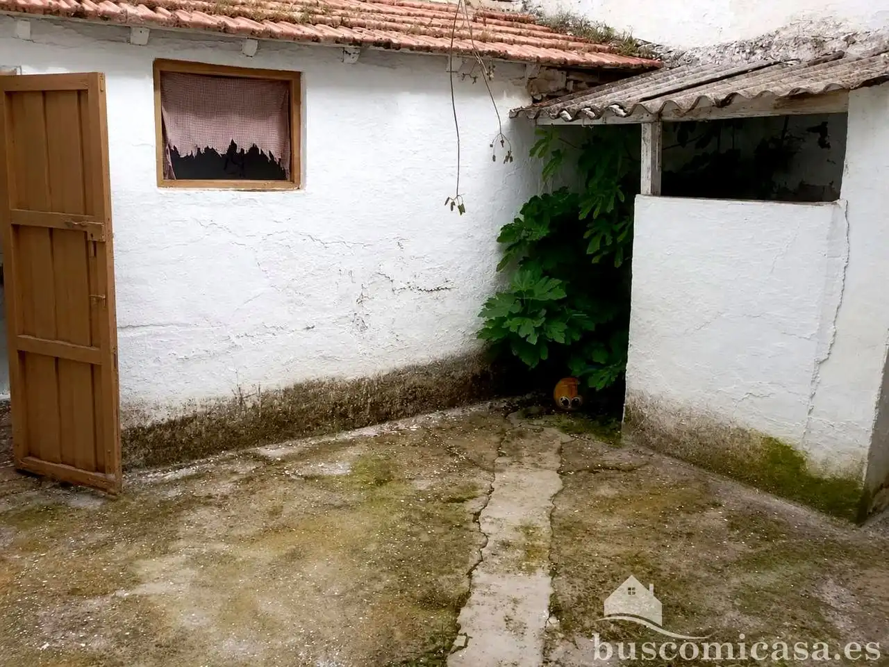 Casa amb terrassa en venda a San Lucas, imagen 3