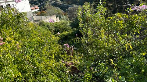 Photo 4 of Residential for sale in Calle Mirlo, 49, Los Alvarados - Fuente los Berros - Bandama, Las Palmas