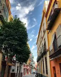 Unique properties with lift for sale in Casco Antiguo, imagen 12