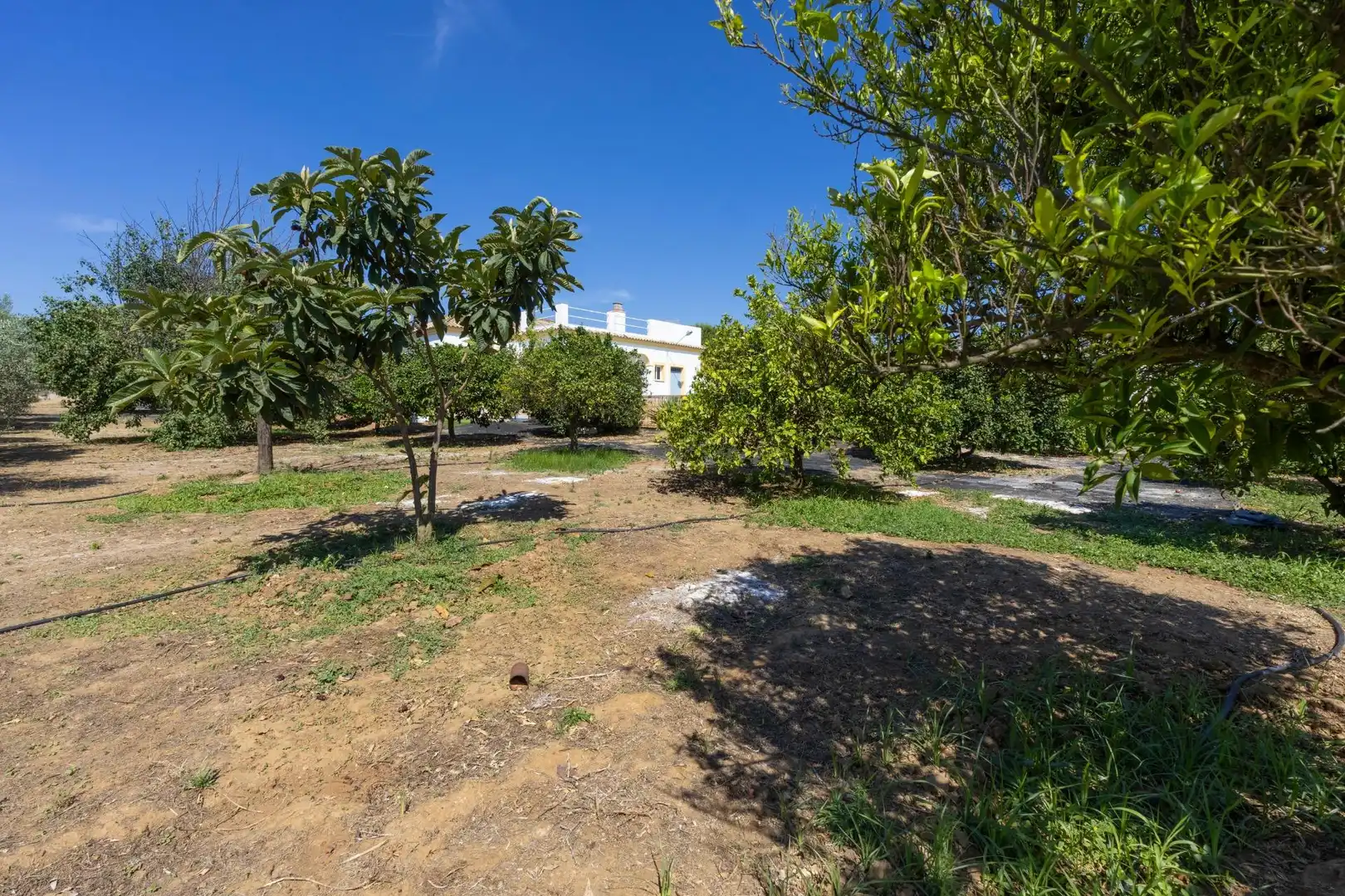 Casa o chalet en venta en La Puebla del Río con Terraza, Trastero y Piscina