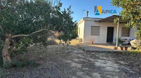 Photo 2 of Land for sale in Cuatro Pinos - El Carmen, Cádiz