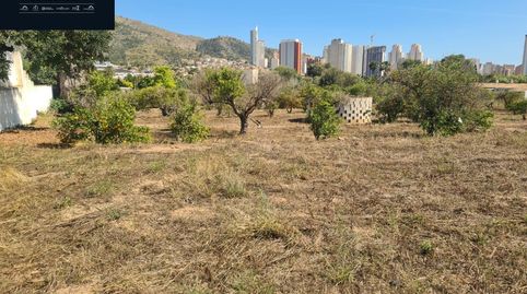 Foto 5 de Finca rústica en venda a Rincón Bajo, Benidorm