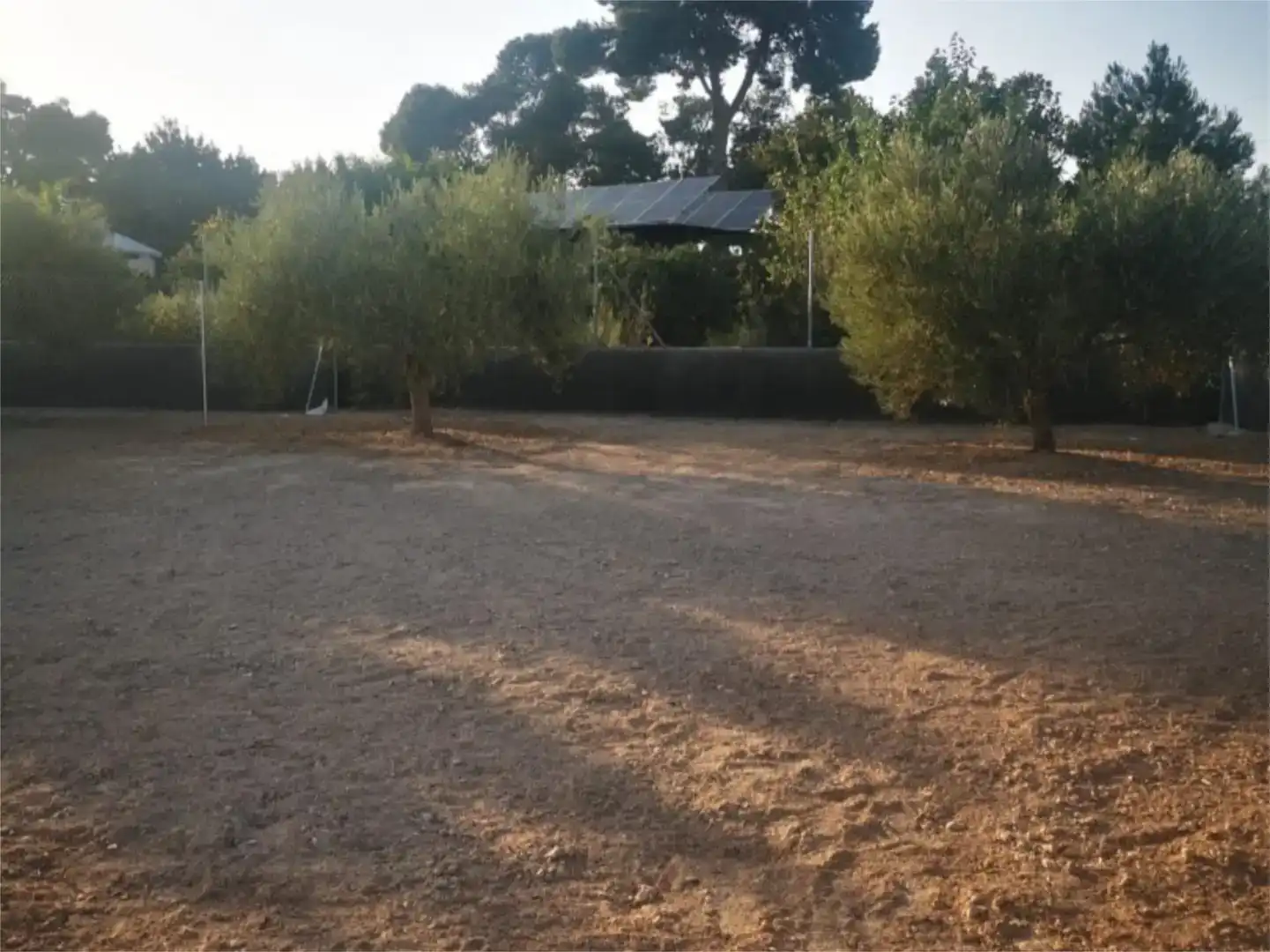 Garatge de lloguer en Elche / Elx