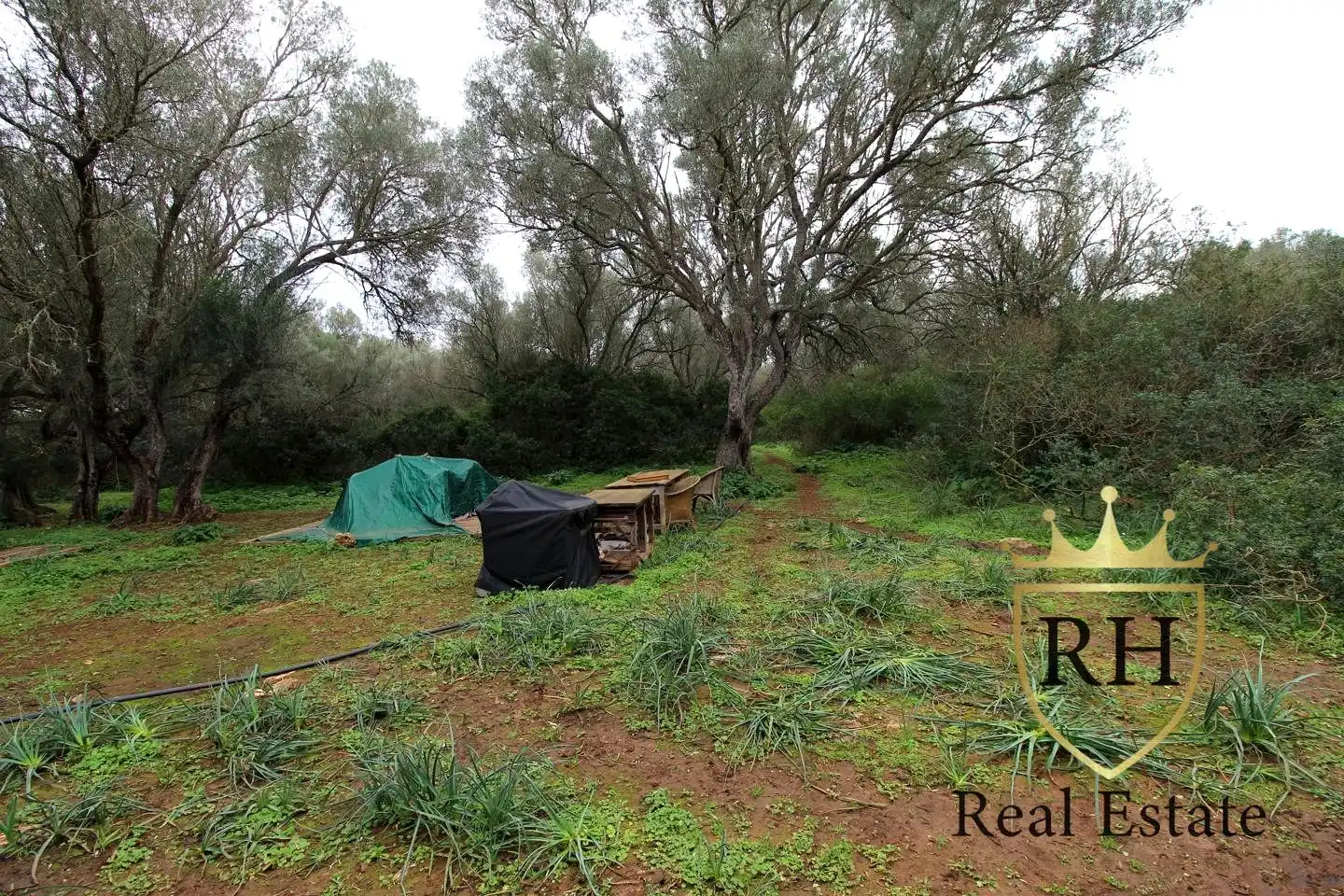 Lands and plots for sale in POLIGONO 49 PARCELA 3, imagen 7