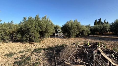 Terreno en venta en Totana, imatge 4