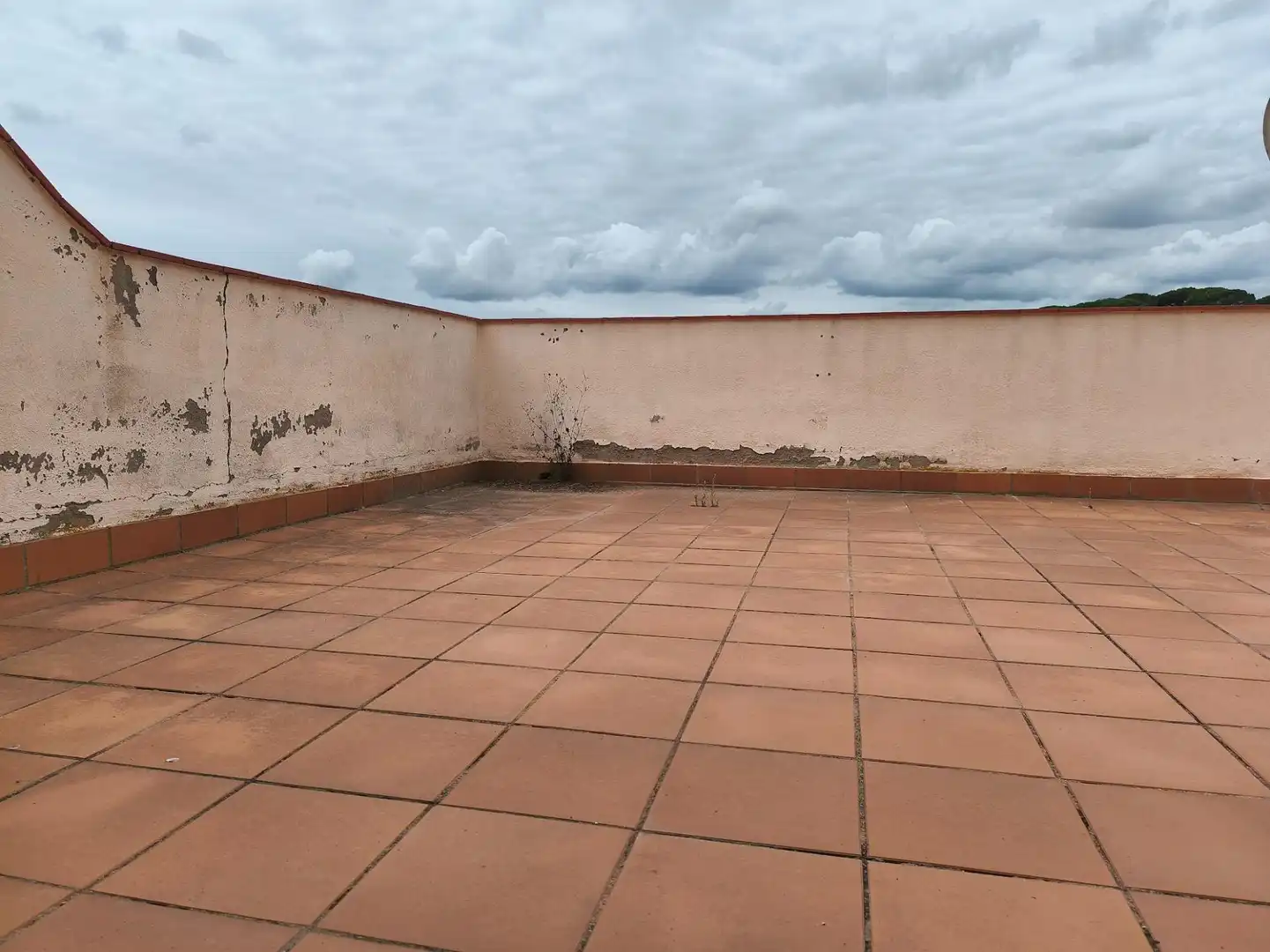 Casa en venta en Riells i Viabrea, imagen 50