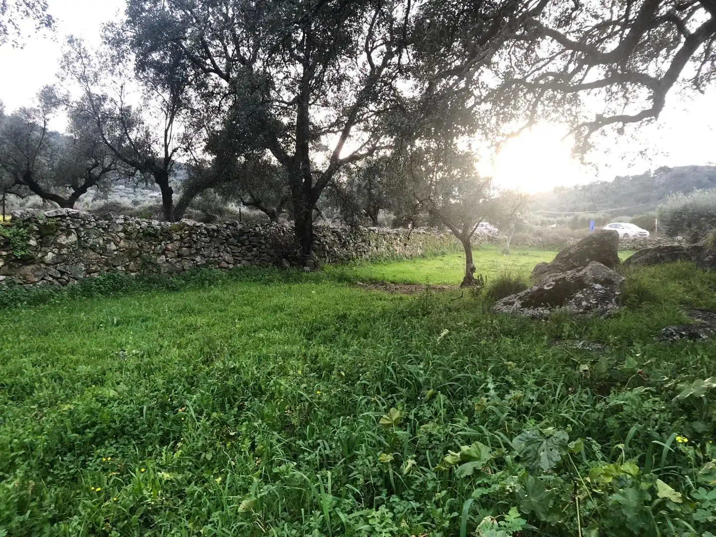 Land for sale in Montánchez