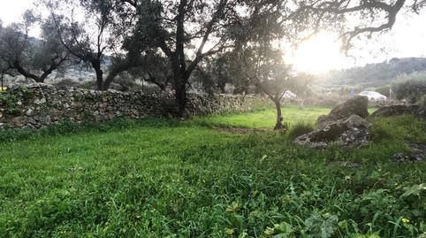 Foto 2 de Terreno en venta en Montánchez, Cáceres