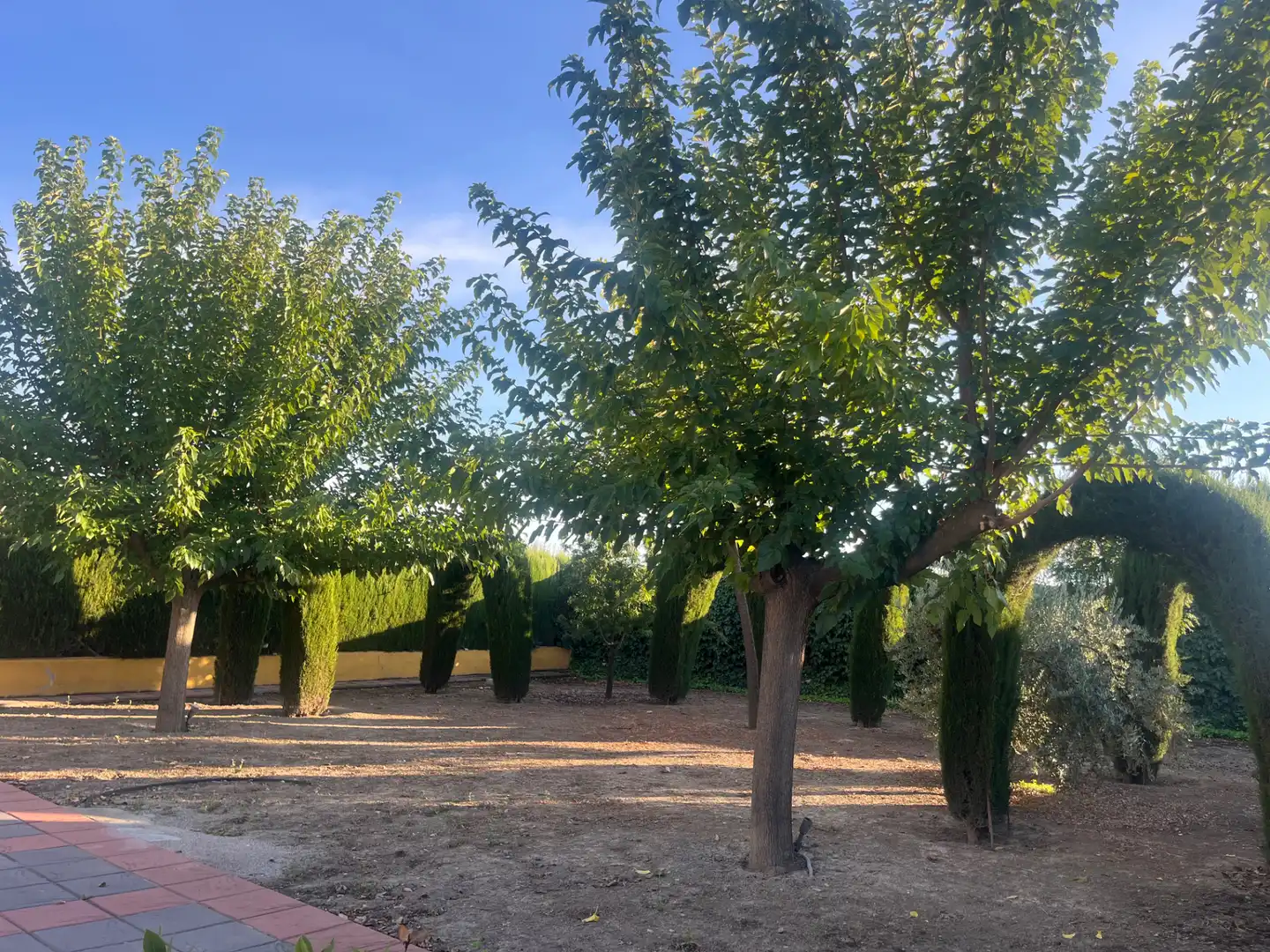 Industrial building for sale in Carretera de Córdoba, imagen 8