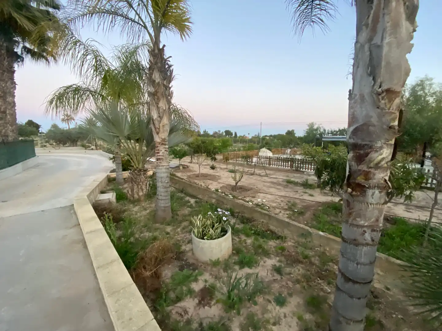 Finca rústica en venda en Elche / Elx amb Jardí privat, Terrassa i Piscina