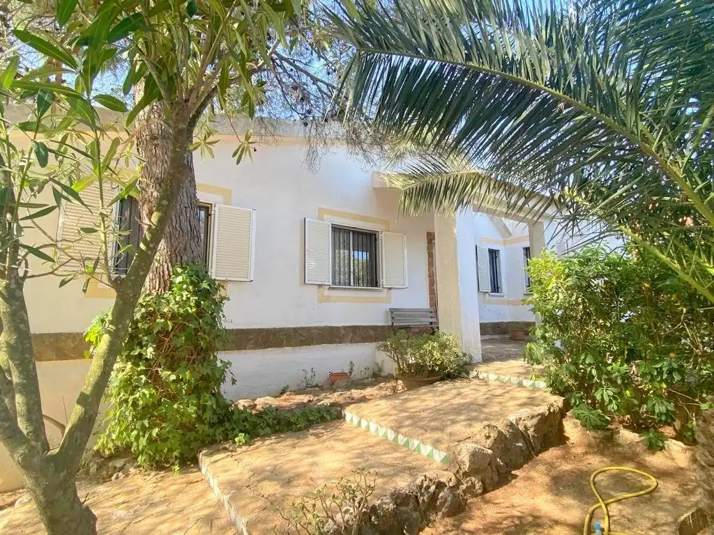 Chalet con piscina en venta en Mogente / Moixent, imagen 19