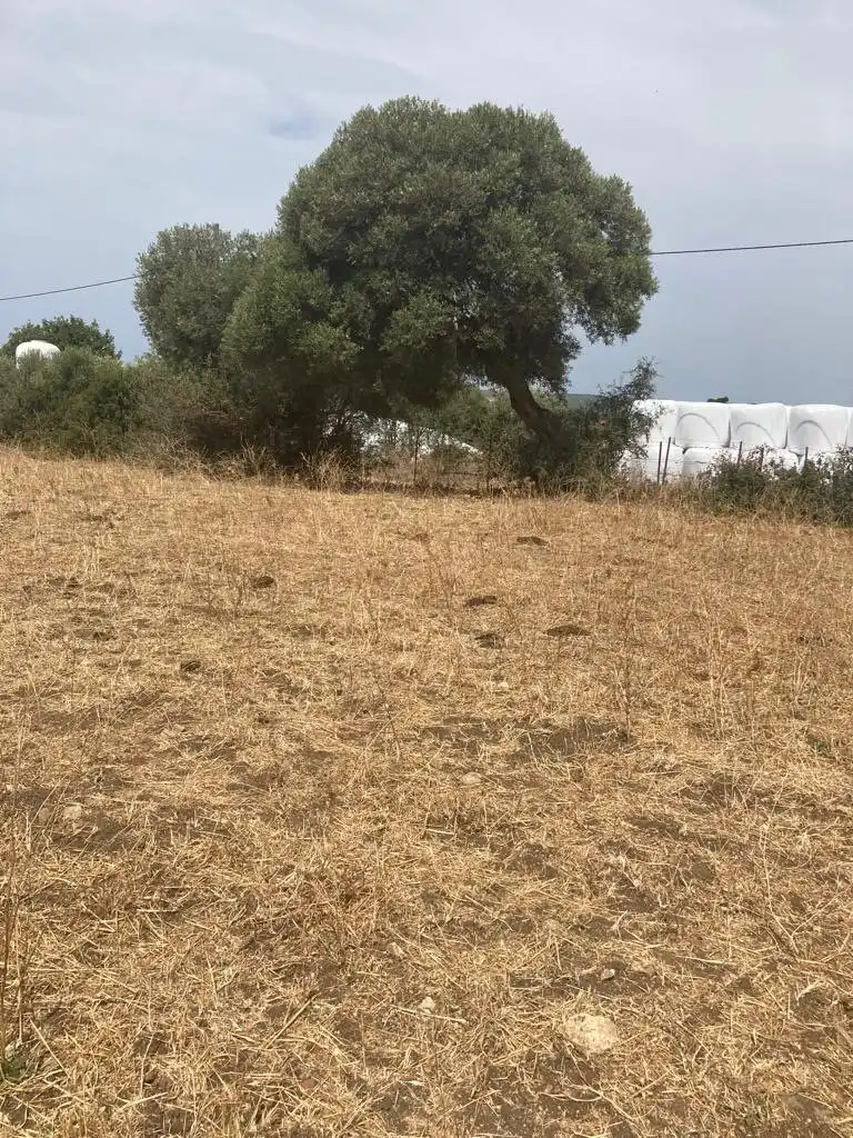 Casa rústica en venda a Barbate ciudad, imagen 6