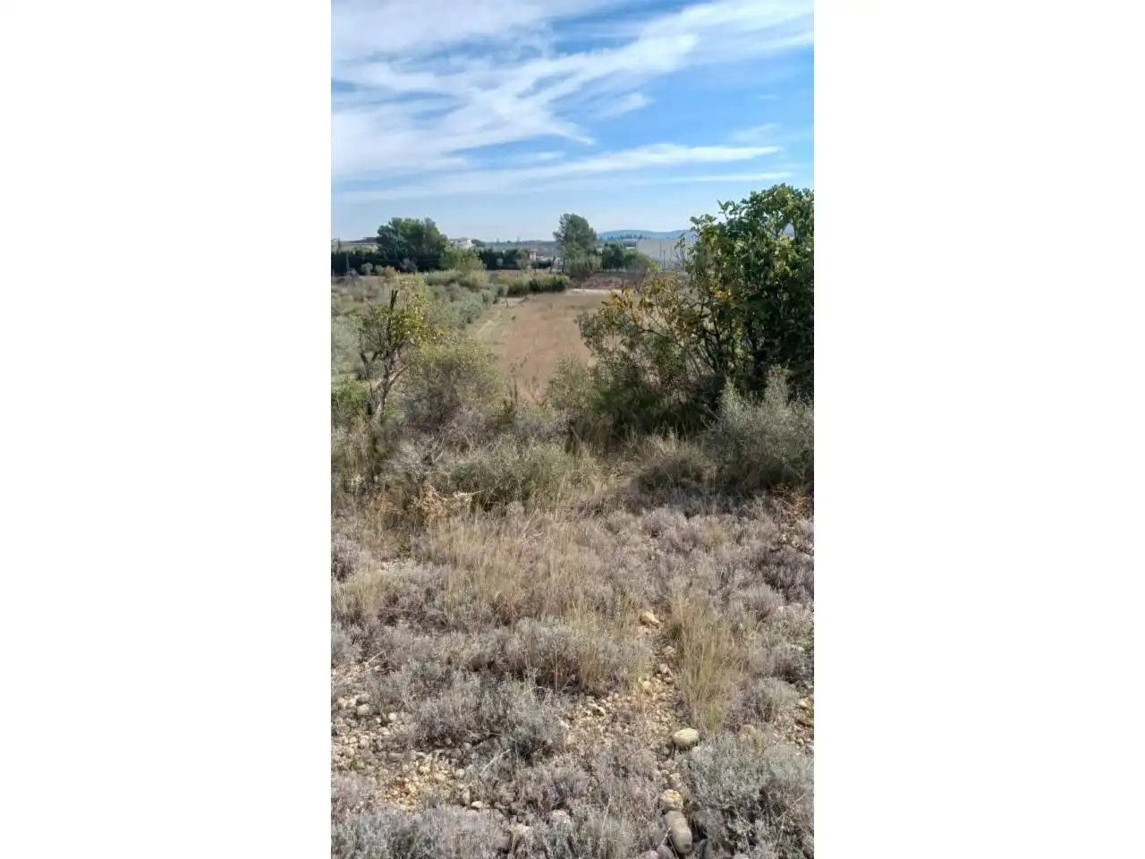 Terrain rustique à vendre à Calle Poligono 22 parcela 415, imagen 4