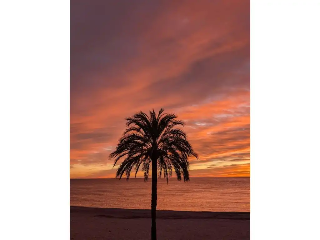 Vista exterior de Apartament en venda en Altea amb Balcó