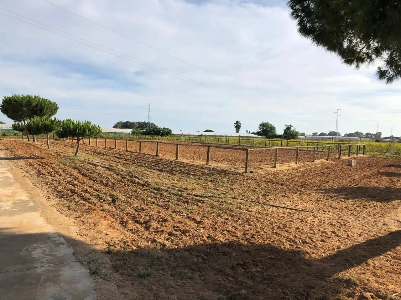 Terreni e lotti in vendita a Jerez, imagen 3