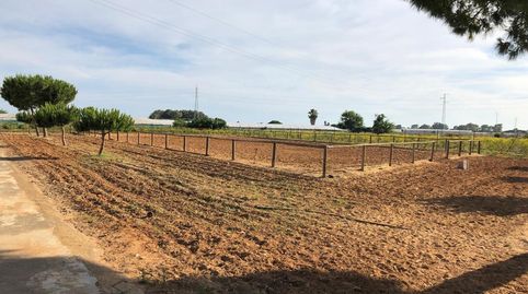 Foto 3 de Terreno en venta en Jerez, Chipiona Norte, Chipiona