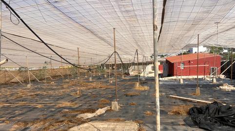 Foto 2 von Grundstücke zum Verkauf in Vial Camino, La Aldea de San Nicolás , Las Palmas